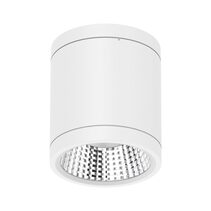 Neo-Pro 13W IP65 Dimmable Surface Mounted LED Downlight White / Tri-Colour - 20891
