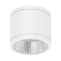 Neo-Pro 25W IP65 Dimmable Surface Mounted LED Downlight White / Tri-Colour - 20893
