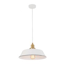 Single Angled Dome Shape Pendant Antique Brass With Black Highlights - CEREMA2