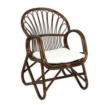 Alabama Rattan Chair With Cushions Dark Antique - FUR1451
