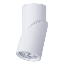 Nella 24W Rotatable Surface Mounted Dali Dimmable LED Downlight White / Tri-Colour - HCP-8832404