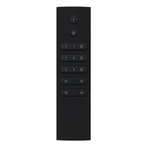 Cham Single Colour Remote With Wall Bracket - 20143