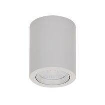 Neo-10 10W Dimmable Surface Mounted Tiltable LED Downlight White / Tri-Colour - 21298