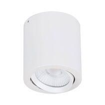 Neo-20 20W Dimmable Surface Mounted Tiltable LED Downlight White / Tri-Colour - 21297