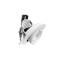 Avior 10W Dimmable Adjustable LED Downlight White / Tri-Colour - DL05-03-10W/WH