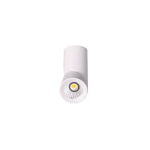 Propus 2 12W LED Adjustable Surface Mounted Downlight White / Natural White - DL2034/WH/NW