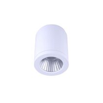 Propus 15W LED Dimmable Surface Mounted Downlight White / Tri-Colour - DL2082/WH/TC