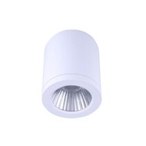 Propus 20W LED Dimmable Surface Mounted Downlight White / Tri-Colour - DL2092/WH/TC
