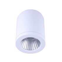 Propus 30W LED Dimmable Surface Mounted Downlight White / Tri-Colour - DL3082/WH/TC
