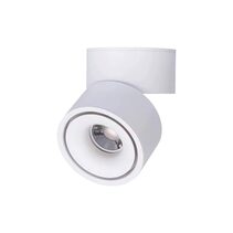 12W LED Adjustable Dimmable Surface Mounted Downlight White / Tri-Colour - DL3017-WHTC12C02