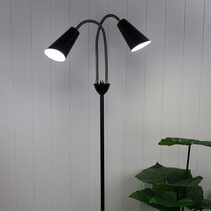 Walt 2 Light Flexible Neck Floor Lamp Black / Anique Brass - SL98812AB