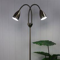 Stan 2 Light Flexible Neck Floor Lamp Antique Brass - SL98822AB