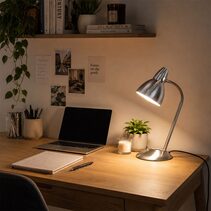 Trax Classic Gooseneck Task Lamp Brushed Chrome - SL98401BC