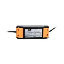 Indoor Dimmable 12W Constant Current LED Driver - 19504