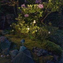 Moss 4W LED Dimmable Spike Light Graphite / Warm White - NLYS.6165GR