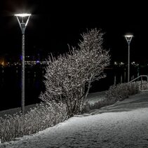 Nice 38W LED Pole Light Graphite / Warm White - NLYS.5001GR