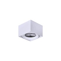 Propus 10W Dimmable Square Surface Mounted LED Downlight White / Tri-Colour - DD1541-WHTC10C02