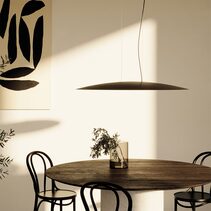 Bigcoss LED Pendant Matt Black - ARO.C1203/80