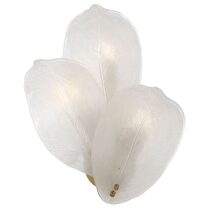 Monte 3 Light Wall Light Brass - MONTE WB3-BRS