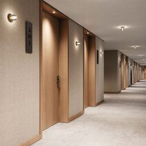 Doul LED Ceiling / Wall Light Matt Brass - ARO.T1310/ORO