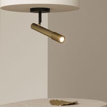 Ycro LED Ceiling Light Matt Black / Matt Brass - ARO.T1297/NEG-ORO