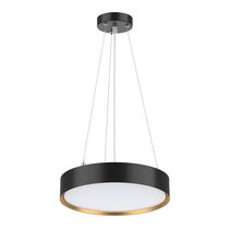 Decord 24W LED Dimmable Pendant Black / Gold / Tri-Colour