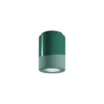 Pi Small Ceiling Light Bottle Green - FER.C985-VEB