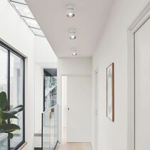 Pitcher Spot Light White - 2310400101