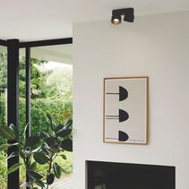 Pitcher 2 Light Spot Light Black - 2310410103