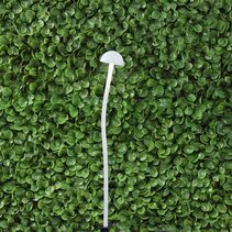 Enoki.1 12V DIY Garden Light White / Cool White - OL7735/1WH