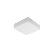 Fluorescent Seamless Look Ceiling Light - CL300