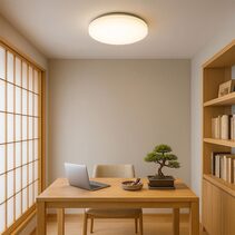 Elaine Tri Colour Dimmable Flush Mount LED Ceiling Light Large - LL002CL134L