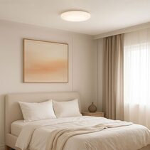 Elaine Tri Colour Dimmable Flush Mount LED Ceiling Light Small - LL002CL134S