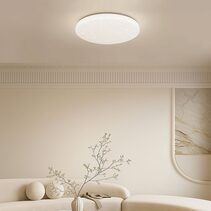 Starry Glow Tri Colour Dimmable Flush Mount LED Ceiling Light Large - LL002CL135L