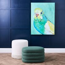 Green Budgie Enhanced Canvas Print - 53253