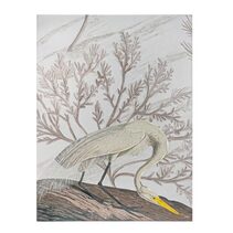 Take Flight Series I Enhanced Canvas Print - 53266