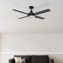 Cairns 48" AC Ceiling Fan With B22 Light Matt Black - 22878/06