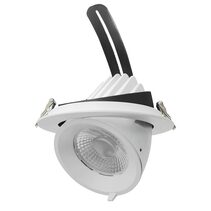Newman IV 25W / 30W / 35W LED Shoplight White / TriColour - S9525MP145TC/WH