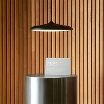Artist 25 LED Pendant Black - 2420203003