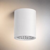 Surface Mounted 20W LED Downlight White / Tri-Colour - DL2091WHTC20C01