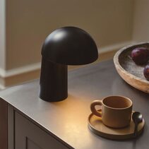 Faye Portable LED Table Lamp Black - 2420155003