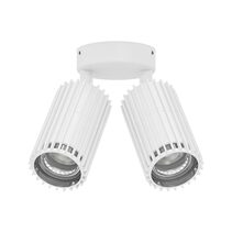 Stria-2 240V Double Adjustable Outdoor LED Wall Light White / Tri-Colour - 11207