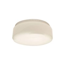 Alpha / Trisera Ceiling Fan Light Clipper Spare Glass - CLIGLASS
