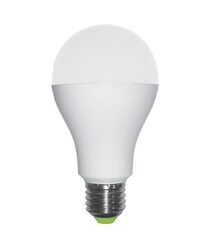High Lumens 15W LED E27 GLS Globe Natural White - GLS28B