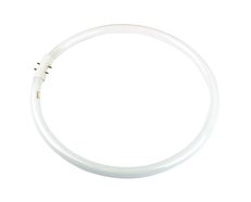 Circular Fluorescent 40W 2GX13 Cool White - A-T5C-40/840