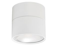 Nella 18W Round Fixed Surface Mounted Dali Dimmable LED Downlight With Extension White / Tri-Colour - HCP-8931814