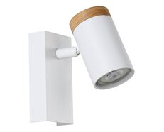 Cartagena 1 Light 5W Dimmable LED Spotlight White / Cool White - 206178