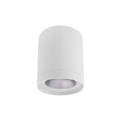 Column Surface Mounted 38W LED Downlight Matt White / Cool White - S9603/150/49CW