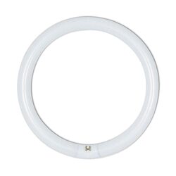 Circular T9 Fluorescent Tube 32W Natural White - CIR-32-TP