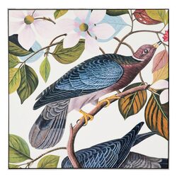 Band Tail Oil On Canvas Painting - 51869